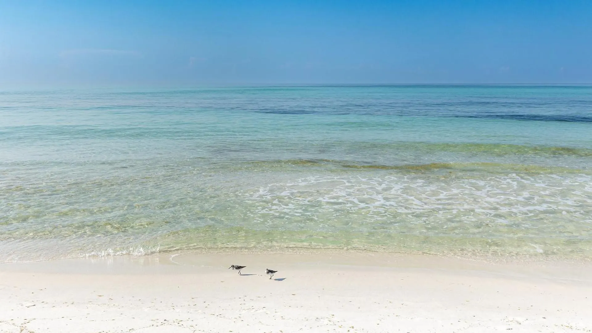 Oceania 503- By Holiday Isle Properties Destin 0*,