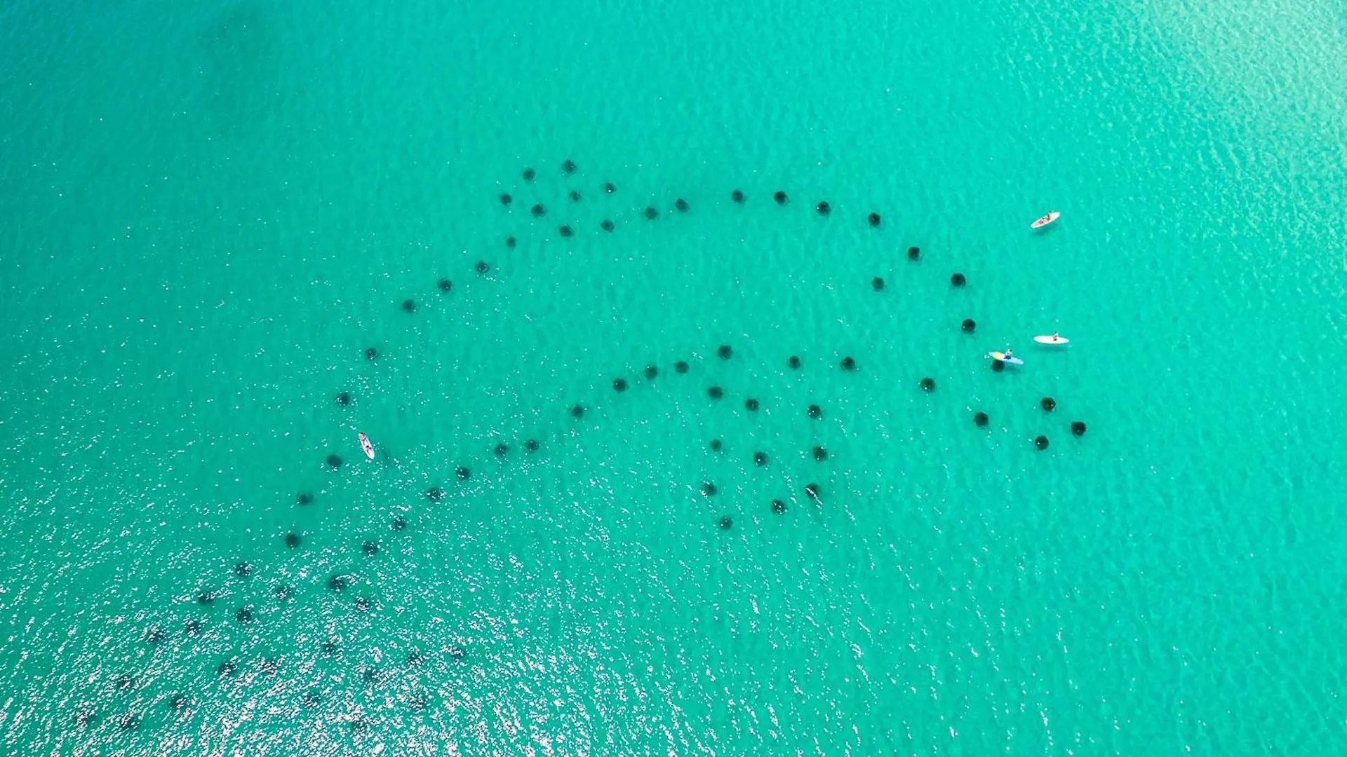 Oceania 503- By Holiday Isle Properties Destin United States